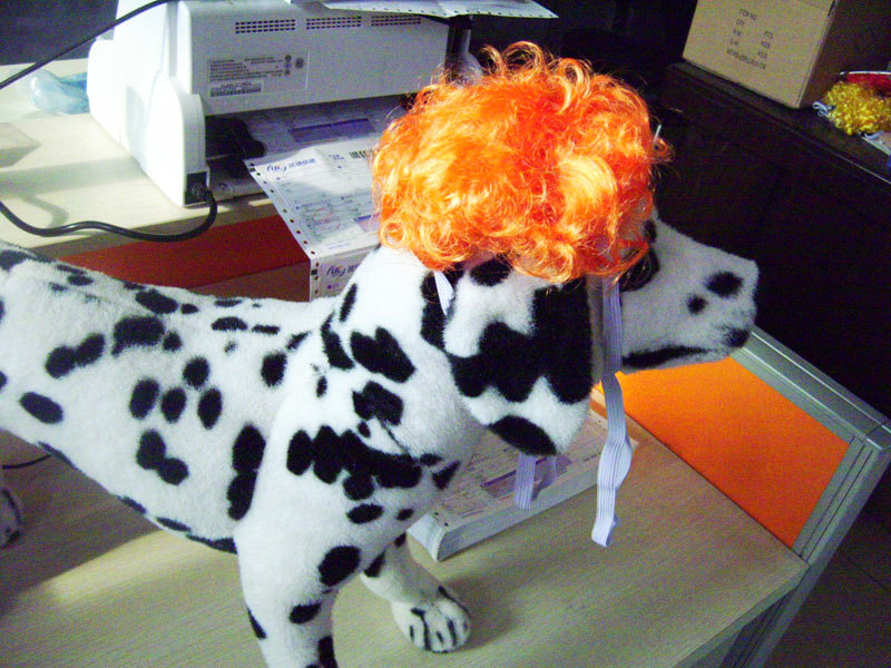 宠物猫咪狗狗假发套头套帽子表演道具5n