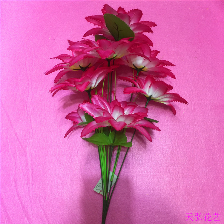 IMG_8483(20170816-151516)