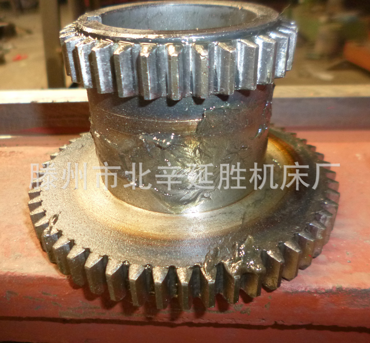 P1030503