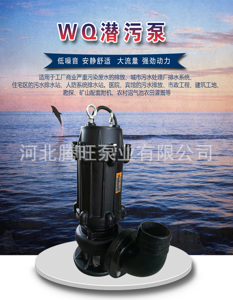 4384647060_272566130