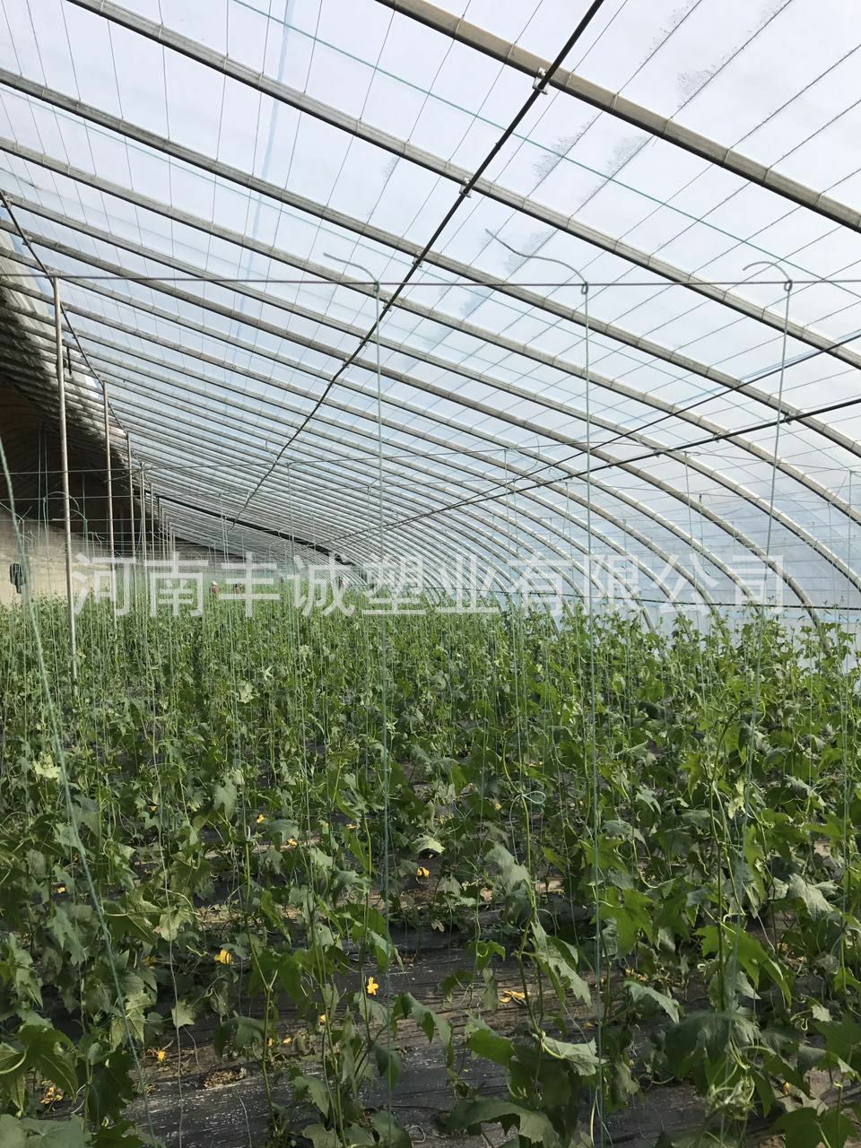 TB2MQqrerBnpuFjSZFGXXX51pXa_!!