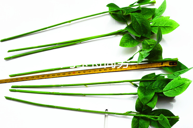 DSC_0178_副本_副本