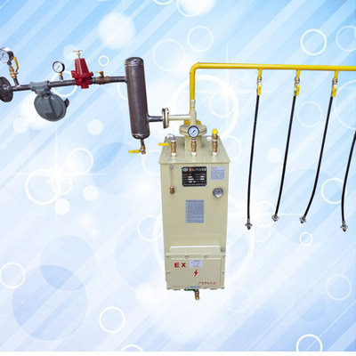 kitchen Combustion engine boiler 100 kg . low pressure a complete set LPG vaporization Gas Gasifier Gasifier