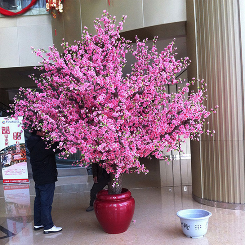 �Ƶ��������װ�μ������һ�����֦չ��������߷��ز�װ��