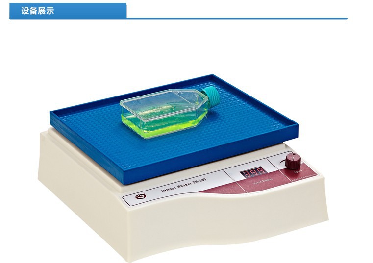 【海门其林贝尔】TS-100 实验专用脱色摇床型（升级版）原TS-6型
