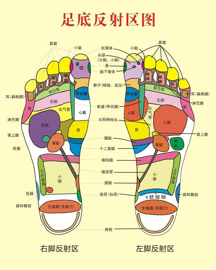 TB2pUvLkSJjpuFjy0FdXXXmoFXa_!!