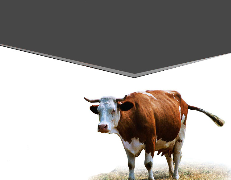 Chaussures de sécurité - Dégâts de perçage - Ref 3404846 Image 46