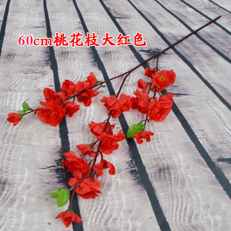 4130830216_1440688251