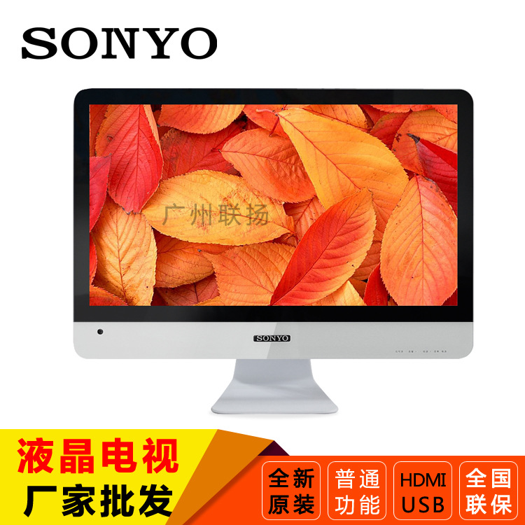 19寸A+宽屏 高清液晶小电视机 网吧电脑PC显示器 厂家批发出口|ms