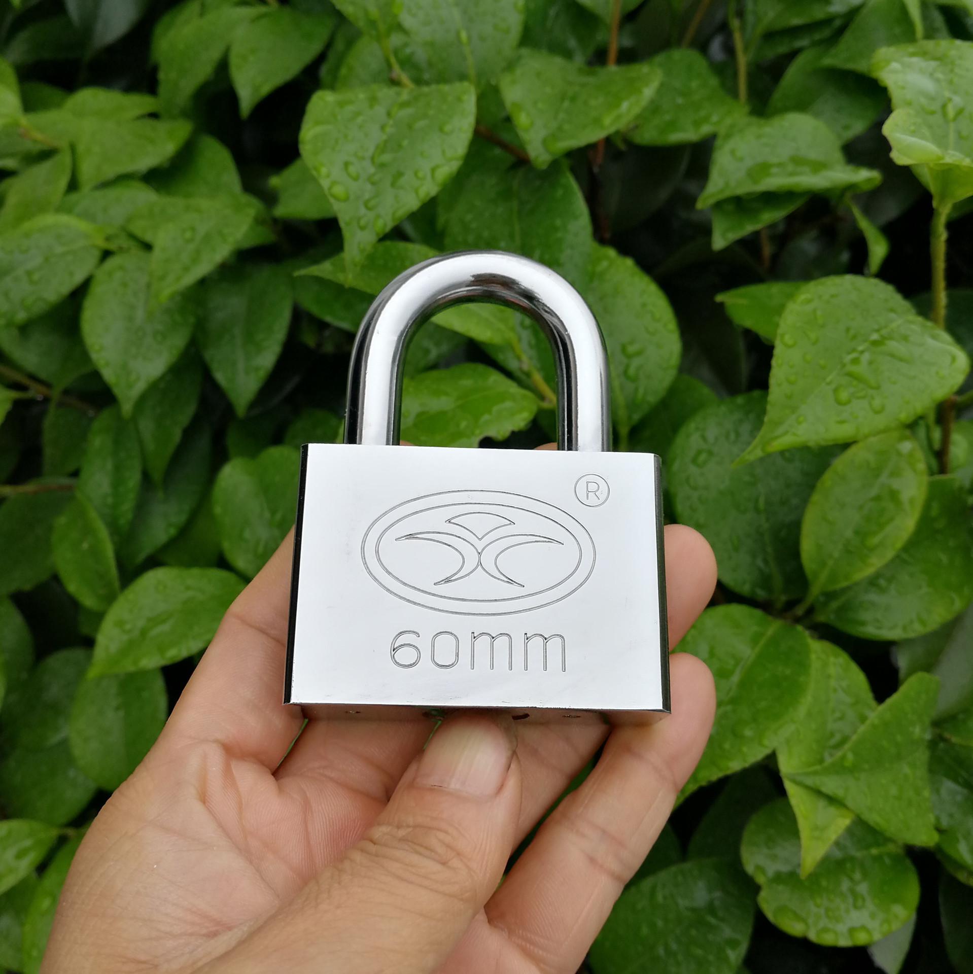 IMG_20170605_164502_1