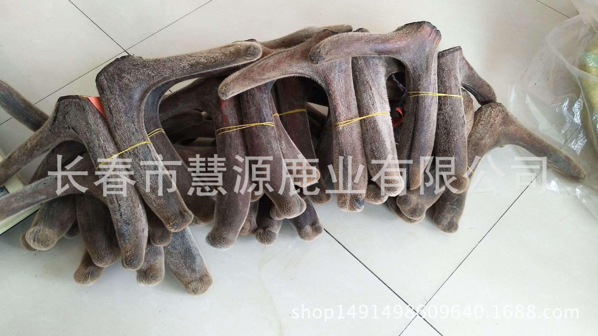 QQ图片20170822124144