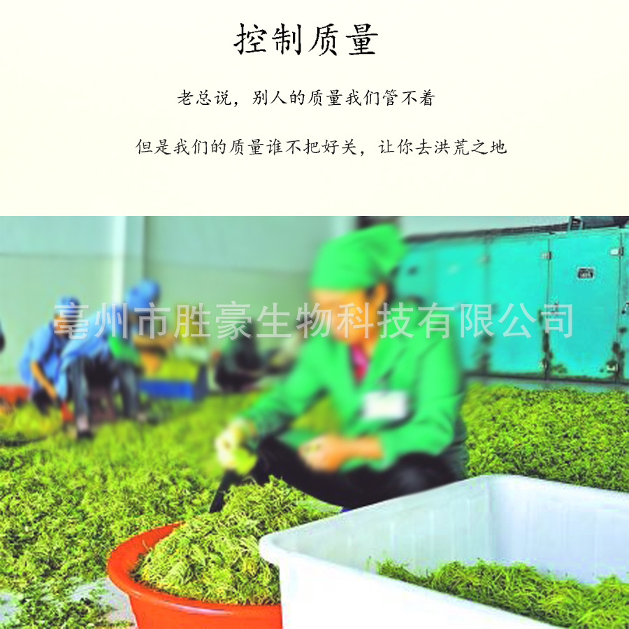 Обработка рисунка жимолости