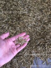 ë�������S�~�� H65���ھ����S�~�� ���ض����и��~���~��