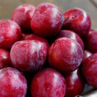 ͥԺ���������Ә�����������޽����t������ ����Y��Ʒ�N