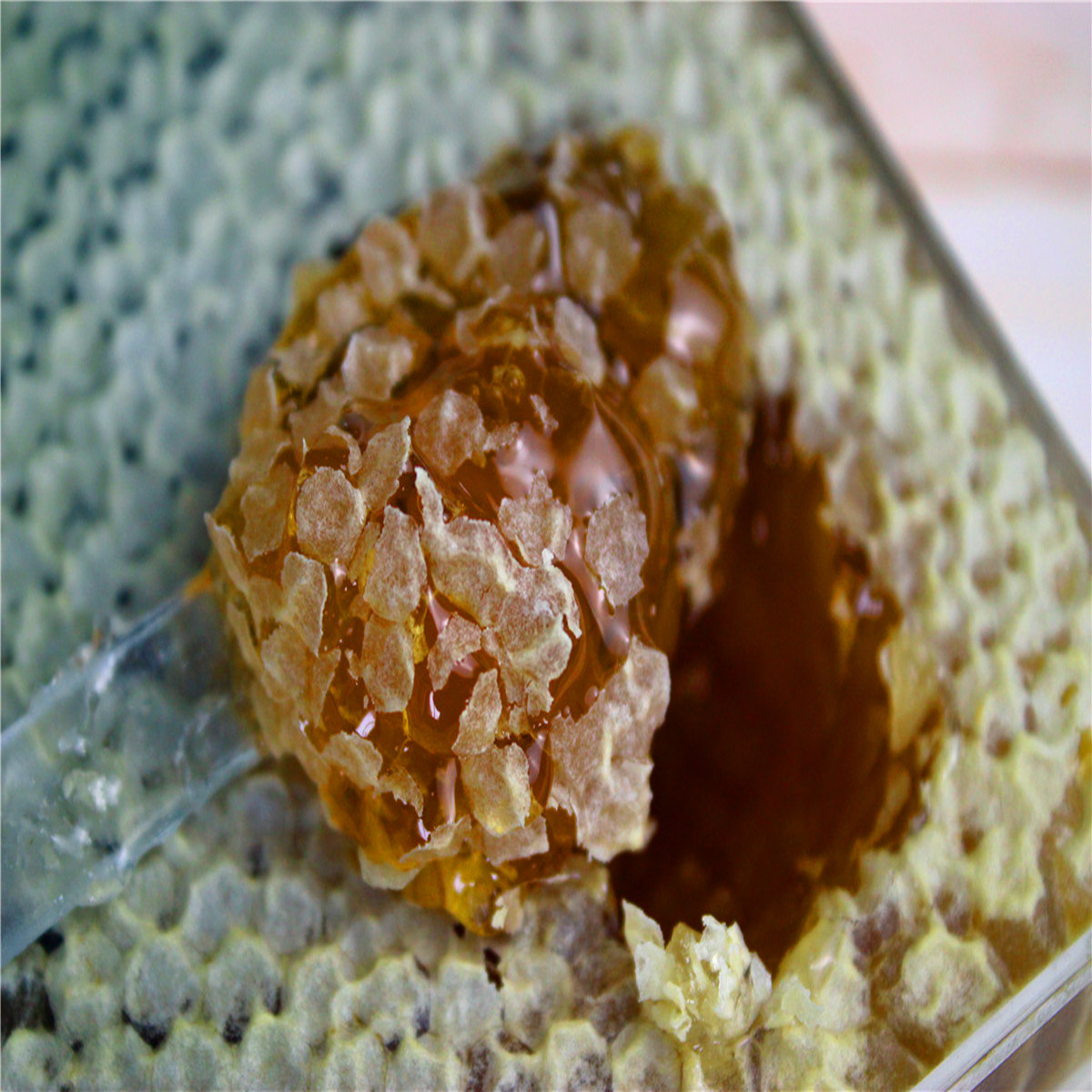 巢蜜新疆透明盒500克新巢蜜厂家直供批发量大优惠一件代发蜂巢蜜|ms