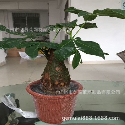 Orchid basin net cover Materials Drop Plastic mesh Green plant protect Nets Potted plant Protective cover Plastic mesh