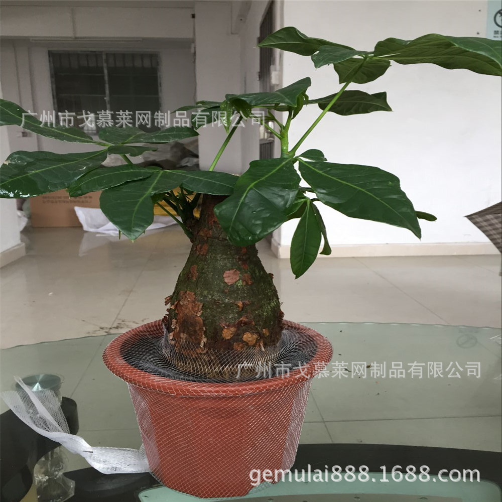 Orchid basin net cover Materials Drop Plastic mesh Green plant protect Nets Potted plant Protective cover Plastic mesh