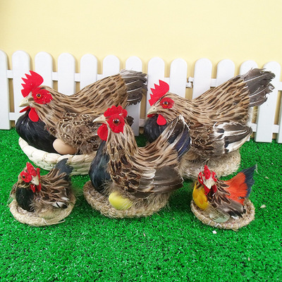 simulation Incubate chicken Feather Handicraft supermarket ornament prop children Early education Hen static state Decoration