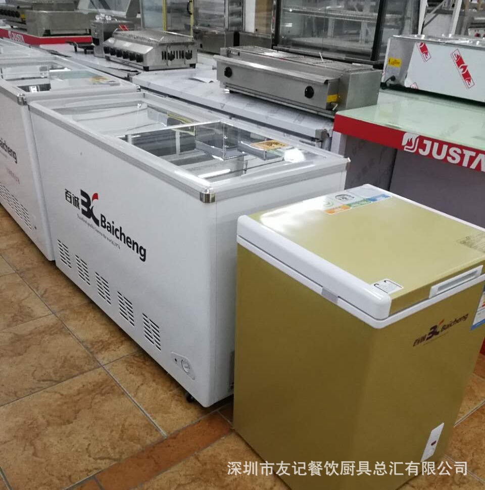 百诚雪糕柜小型冷冻柜新款冰柜冷藏柜新品保鲜冷藏设备