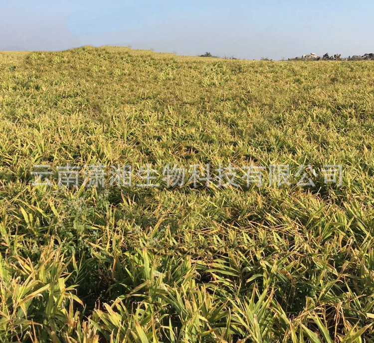 mmexport1485008004792