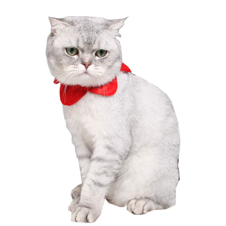 Рождественский красный пятизвездочный ошейник детский праздничный Ювелирный шарф Элизабет защитное кольцо заводской ошейник для собак и кошек