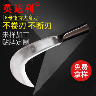 �S�����lӢ�_��8̖�t䓲񵶴󏝵�������֦���r��砵��r�����l