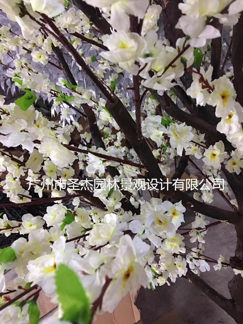 553168613818481448_副本