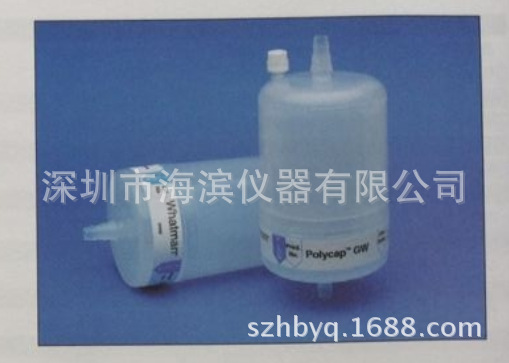 WHATMAN polgcap gw过滤器6714-6004  0.45UM囊式过滤器