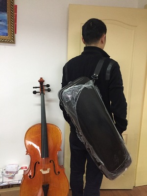 new pattern reunite with carbon fibre Violin case 4/4 Built-in Accessories Box Shoulders back Nick