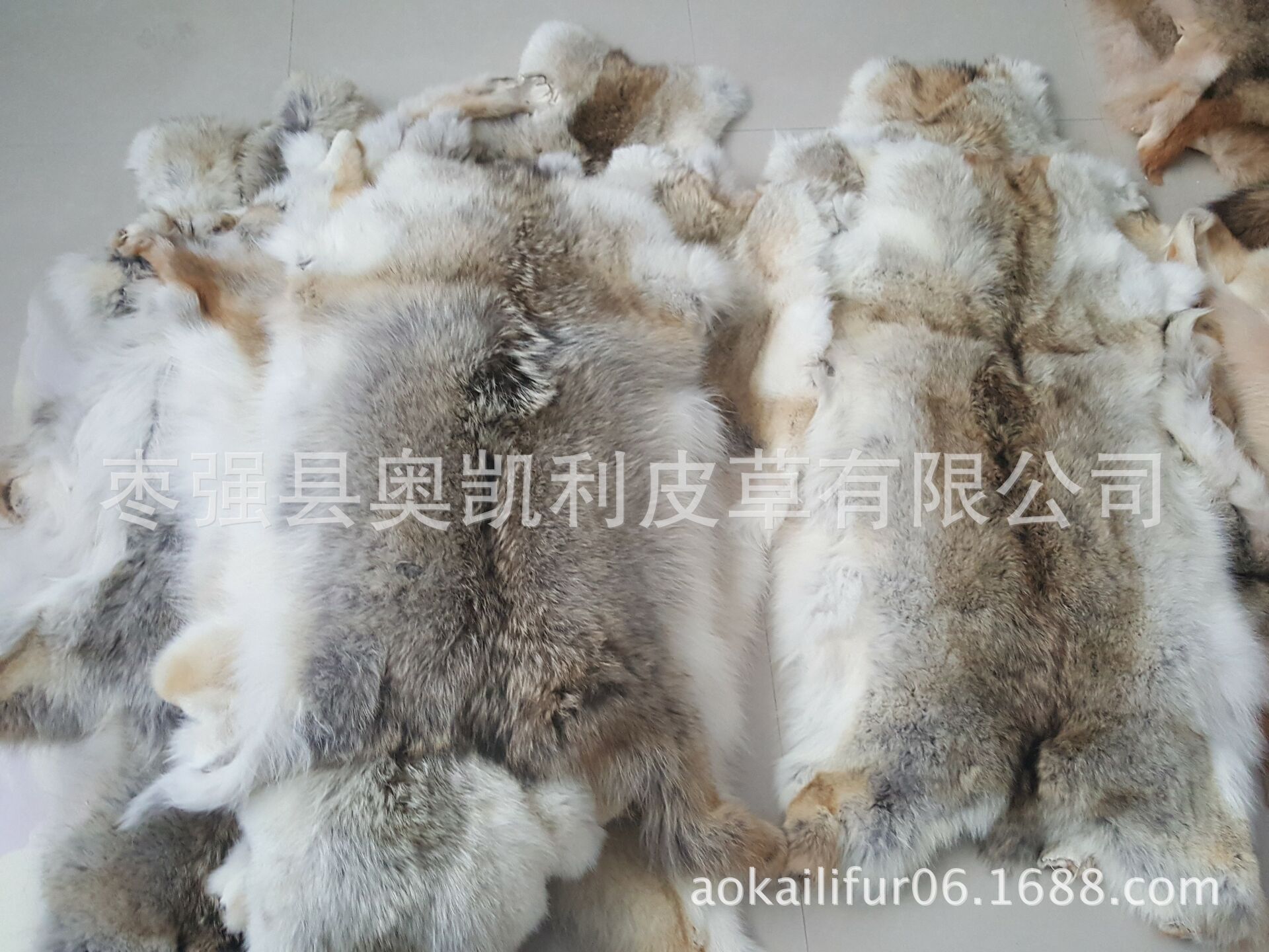 QQ图片20161009222342