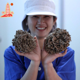 ���lʳ�þ��Ҙ乽��؛�������ζ��a��ֱ�����l500g