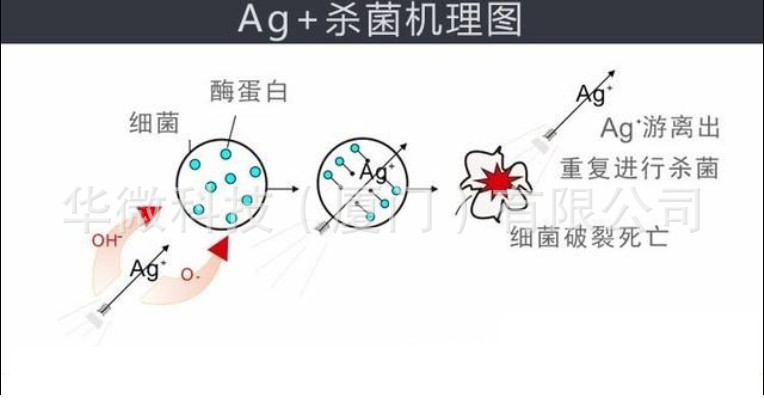 银离子抗菌原理1