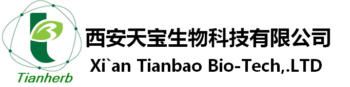 天宝页眉