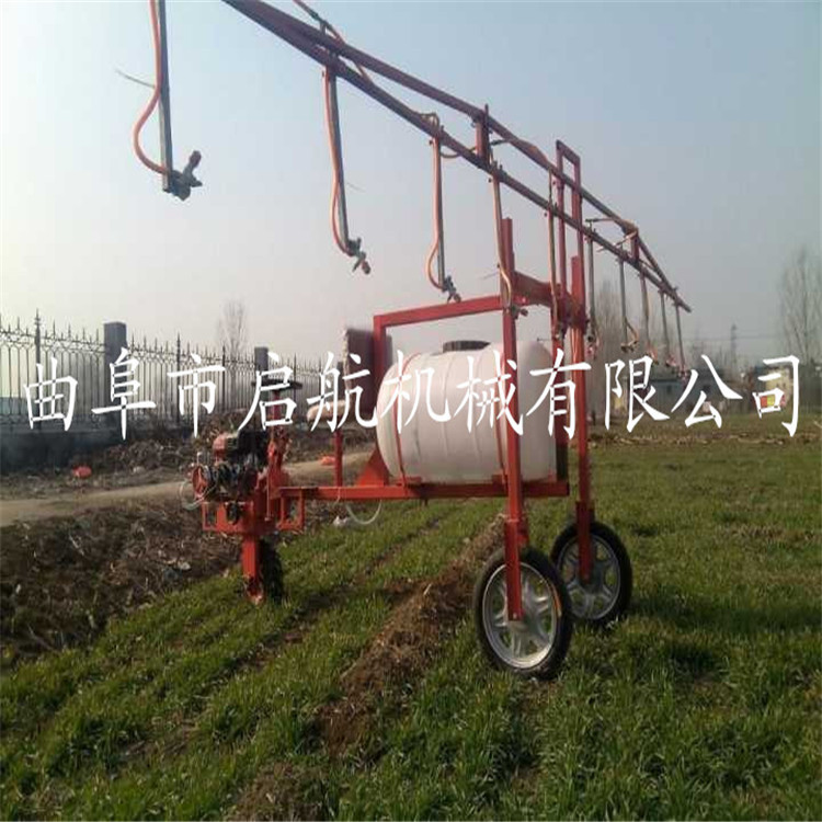 QQ图片20160526140256_副本