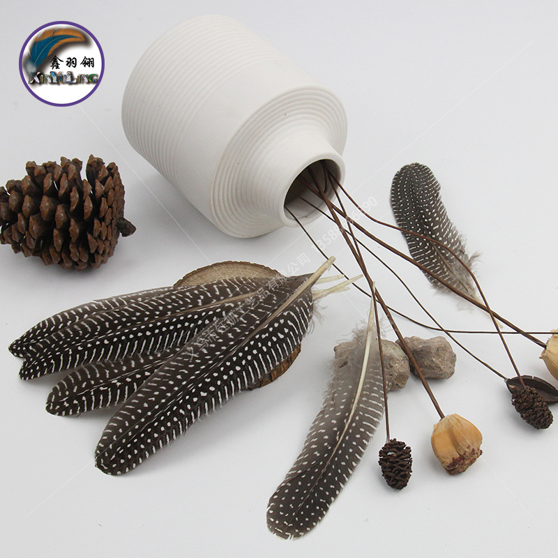 廠家現貨批發珍珠窩翎15-25CM自然色黑色點白底飾品DIY配件