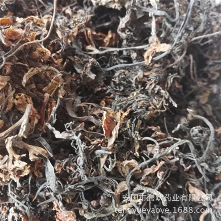 Dried Seaweed Hai Zao Whole Herb Bulk Chinese Medicinal Sea Vegetable for Decoction and Culinary Use key features