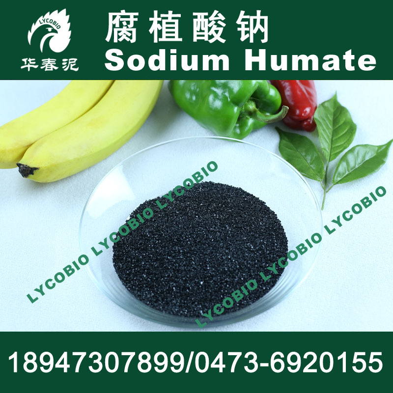 Sodium Humate2