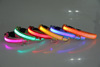 3D highlighting pet LED light -emitting dog collar bumpy feeling increases his brightness 6 colors and 4 specifications