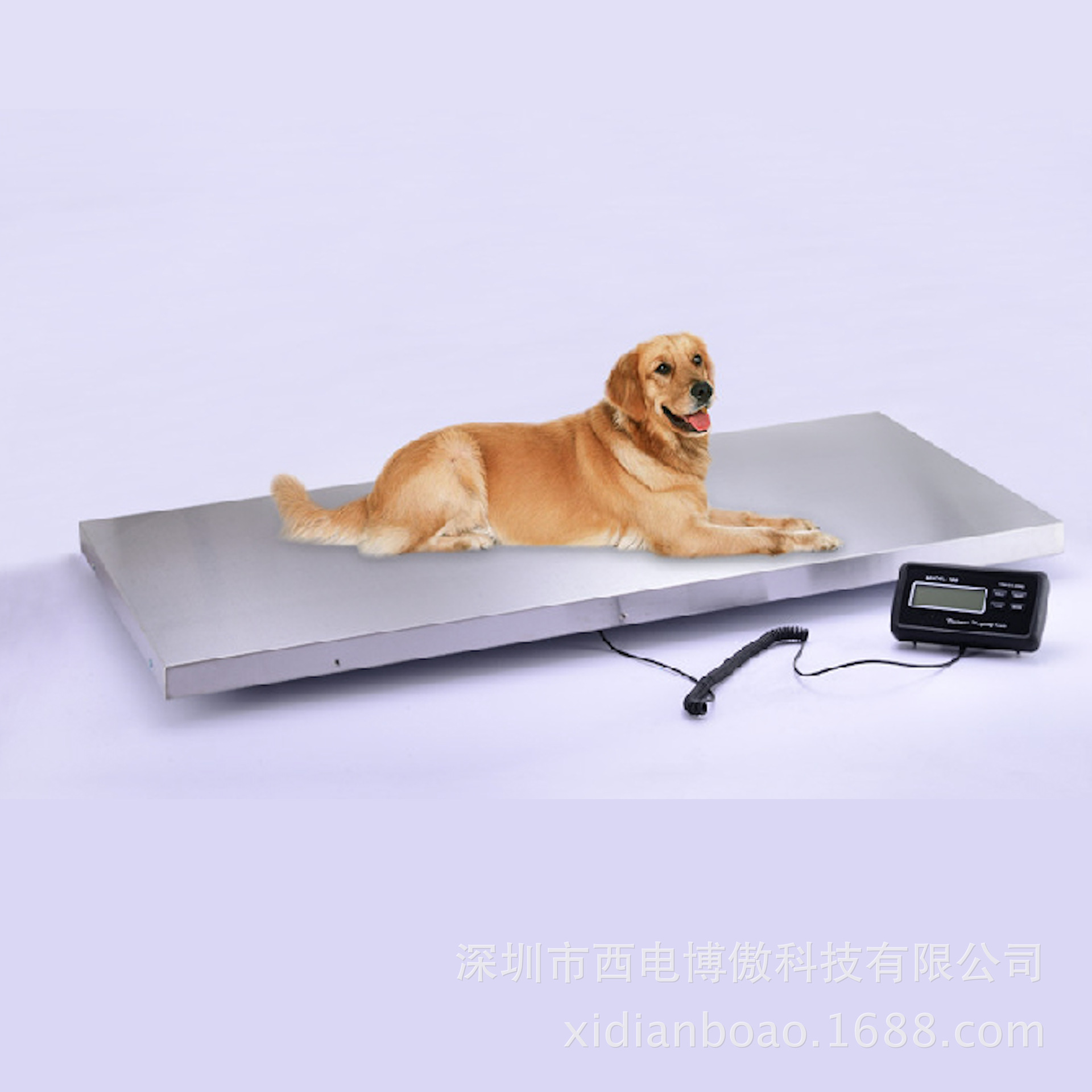 屏幕快照 2017-07-10 上午10.37.50