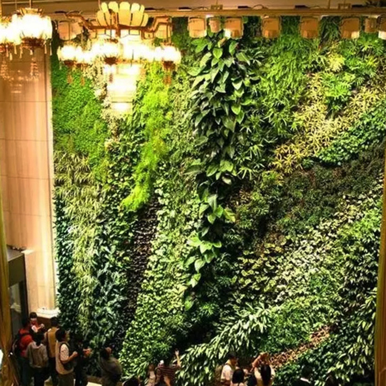 ����ֱ��������ף��ǽ���ղ���԰�����;�����������ǽ