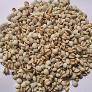 �����h޲����С޲��޲����޲������ș��޲������ș��޲���ʷ�