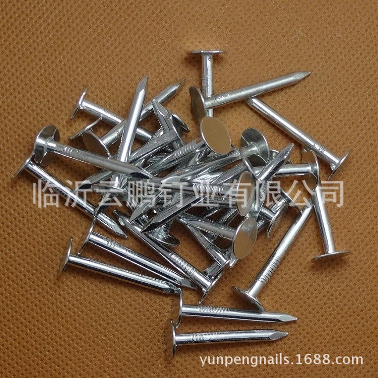 镀锌油毡钉  20,25,30,35,40MM