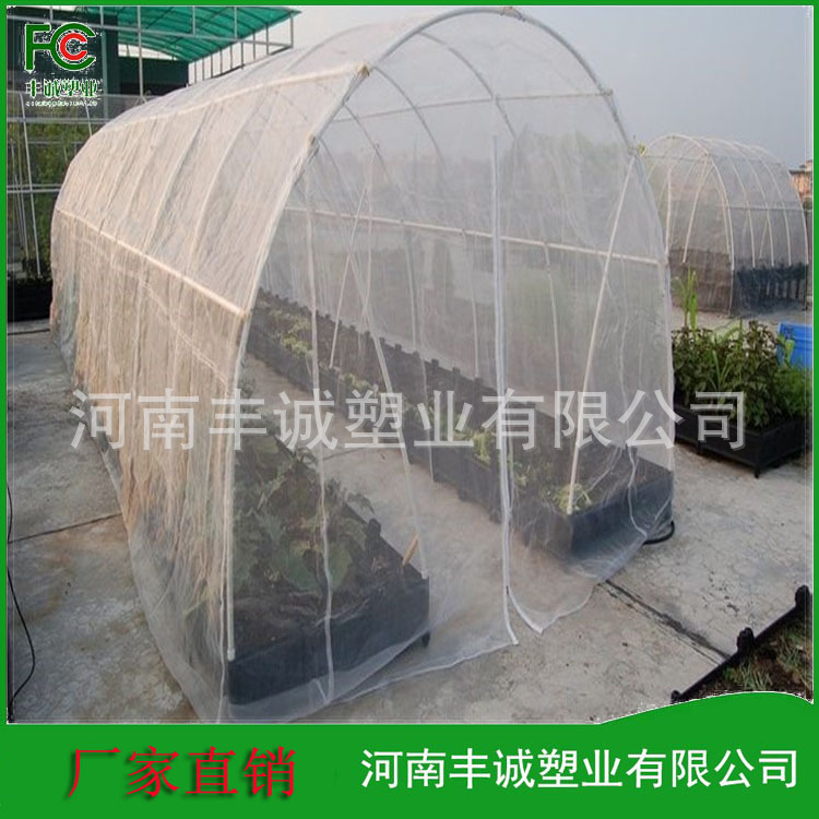 供应农业用防虫网防鸟网 蔬菜用防虫网 抗老化20目到100目