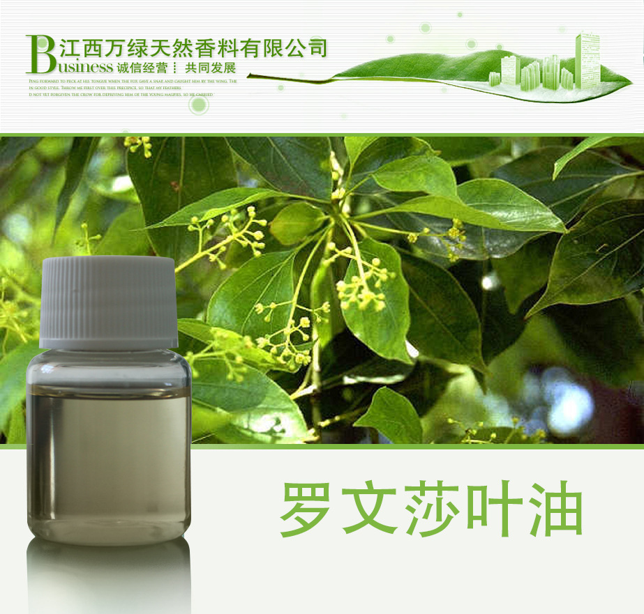 精油 罗文莎叶油 Ravansara Oi  G应批发罗文莎精油
