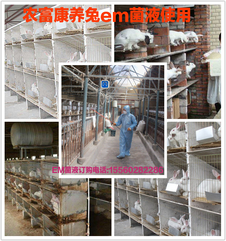 农富康em菌养兔
