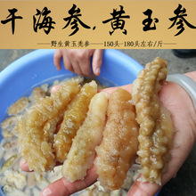 Bán buôn hải sâm khô Hàng hải khô Topaz hói nhân sâm Hải sâm 150-180 đầu 1 kg tóc 7 kg Dưa chuột biển