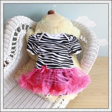 厂家批发婴儿连身蓬蓬裙0-12月baby jumpsuit 斑马加玫红边哈衣裙