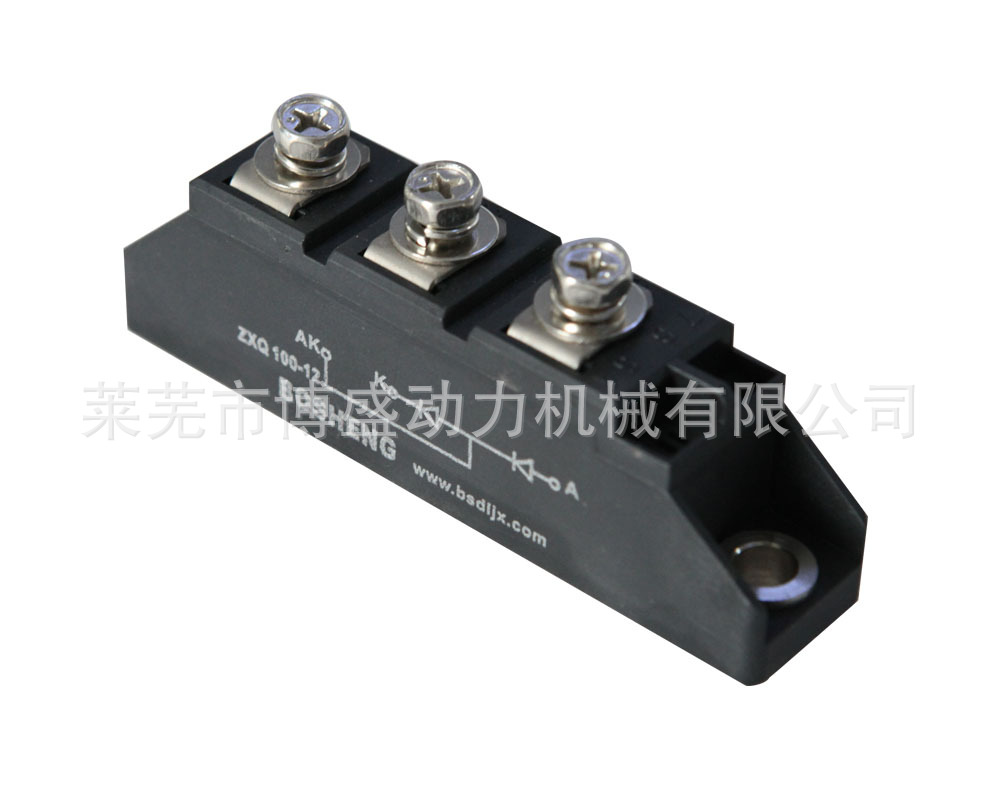 电机励磁系统旋转整流模块ZXQ 100A 1200V
