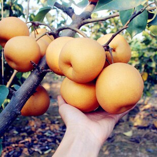 ����籱���Nֲ����ͥԺ���������Ϸ��N����Y�������޽��������