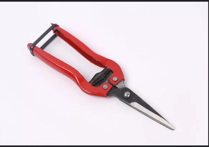 批发 加长尖头疏花疏果剪  德之助园林果枝剪 采摘剪稀果剪